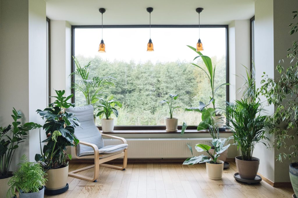 Interior design featuring an open window letting in natural light, plus biophilic elements surrounding a lounge chair.